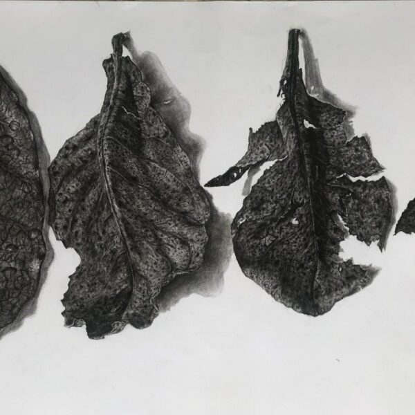 end acerta (ends are certain)